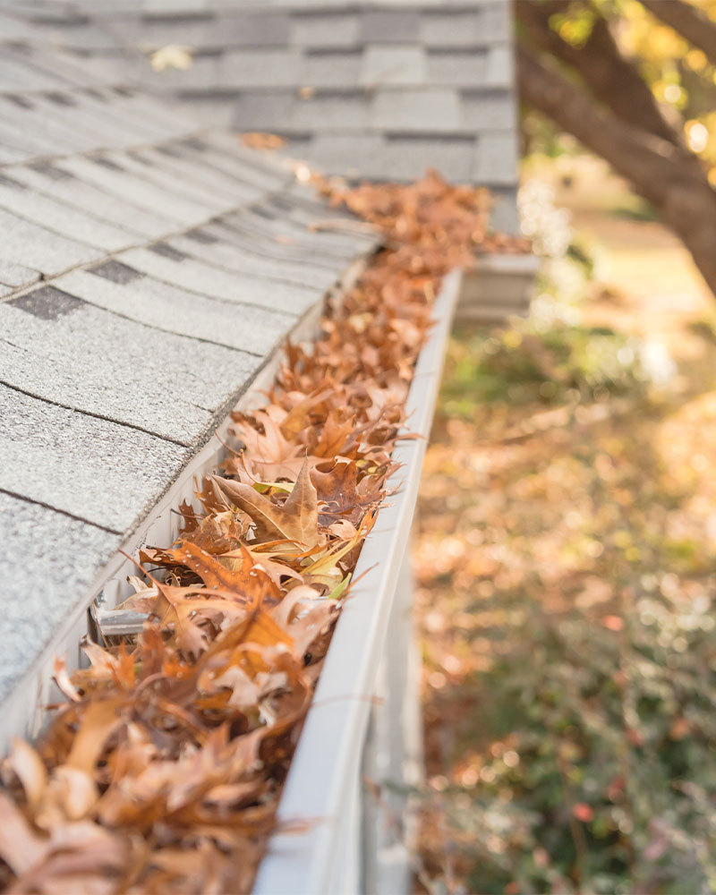 gutter-cleaning-sacramento-1-45